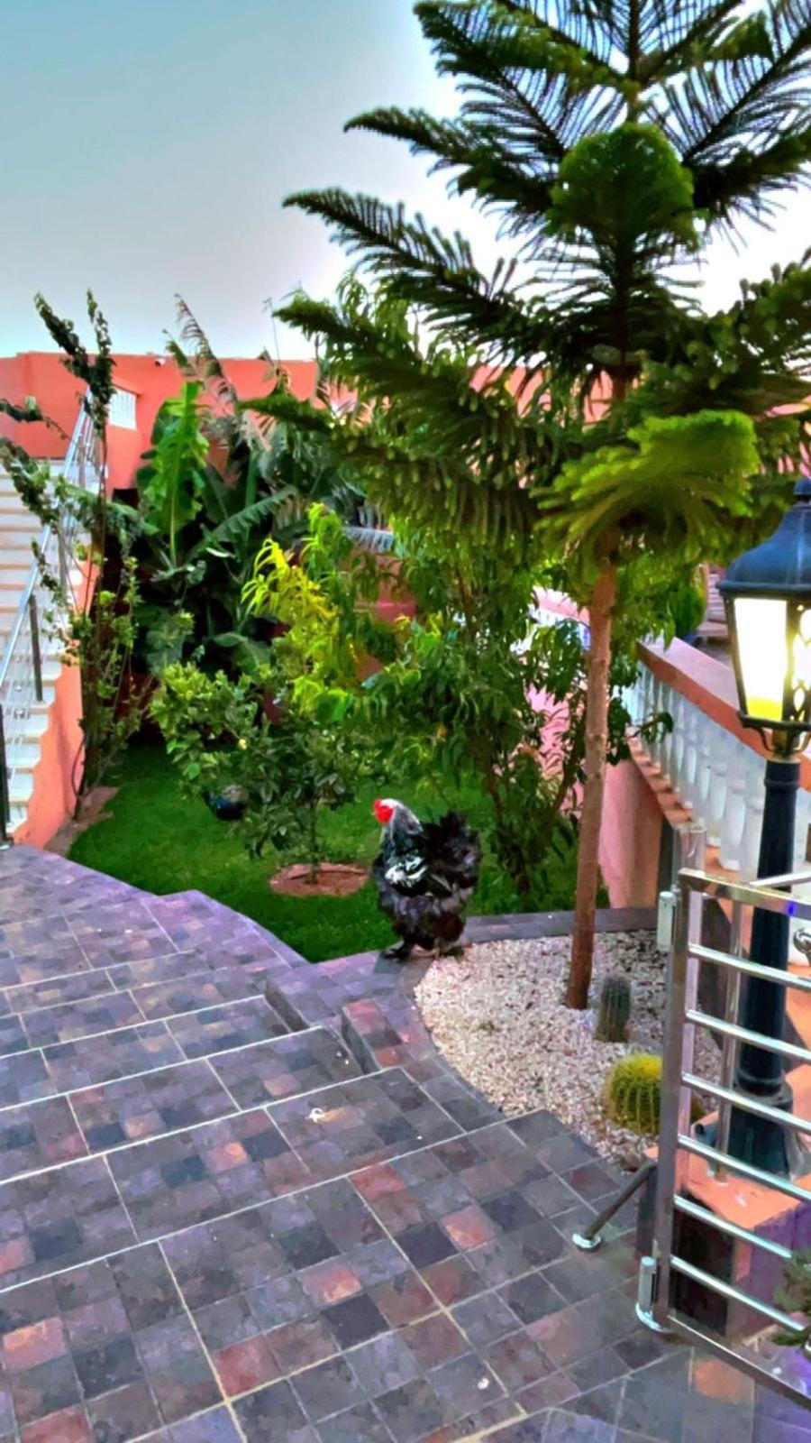 Riad Dar Salam Agadir Exterior foto